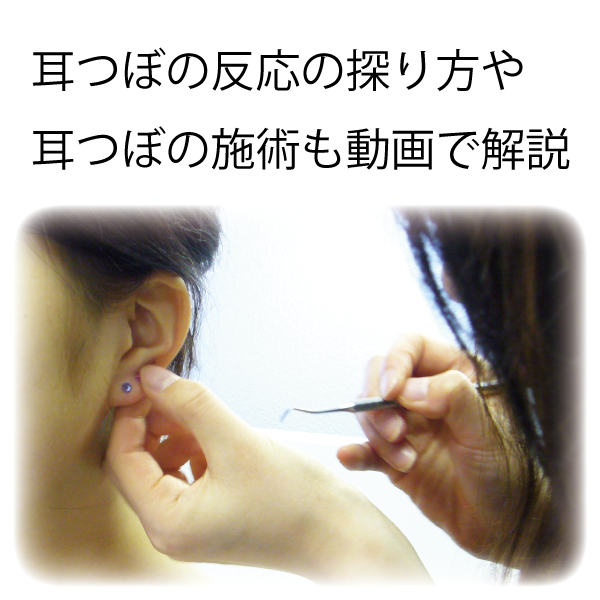 サンプル